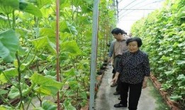 吃瓜真实爆料 潜规则是什么意思,权力与欲望的暗流涌动